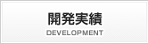 開発実績 DEVELOPMENT